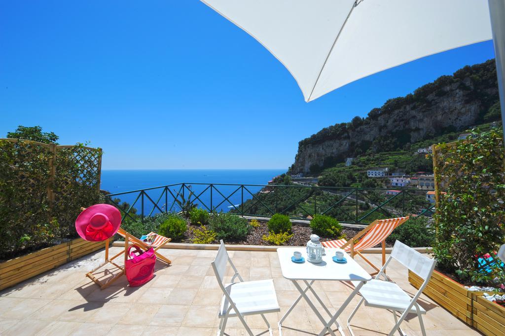 Knight Amalfi